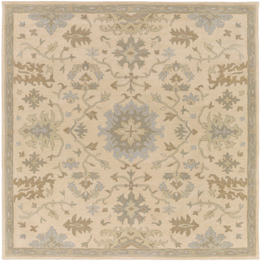 Surya Rug Co. Caesar Beige Rug | Beige Rugs | Rugs Done Right 