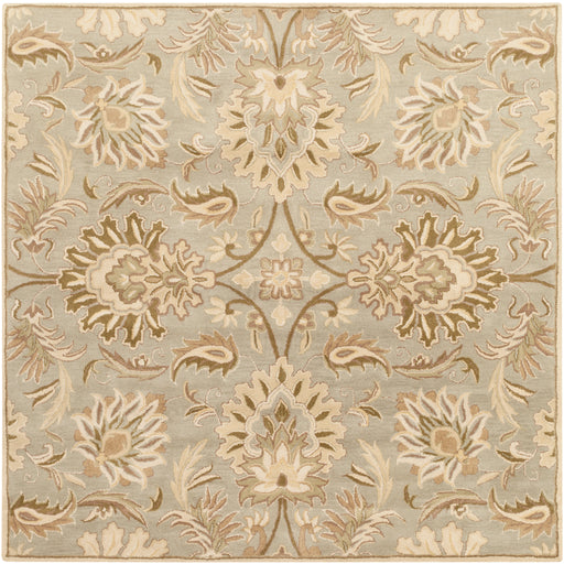 Surya rug co. | Ash Grey rug | Caesar | rugs done right
