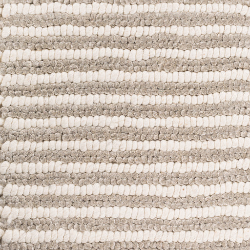 Surya Rug Co. Felix Taupe Rug | Taupe Rugs | Rugs Done Right 