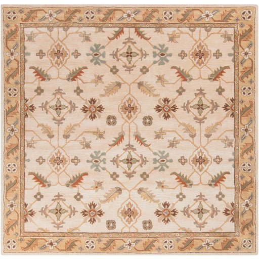 Surya Closeout Caesar CAE-1084 Beige Rug