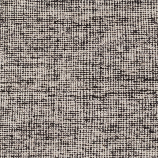 Surya Closeout Rex REX-4000 Black Rug