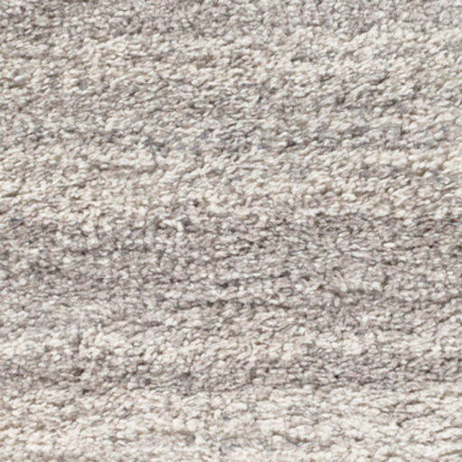 Surya rug co. | Grey rug | Wilder | rugs done right