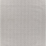 chandra tasha tas 37301 grey rug