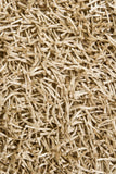 chandra zara zar 14520 beige rug