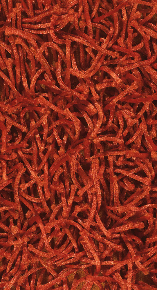 chandra zara zar 14524 rust rug