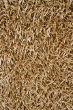 chandra zara zar 14530 light tan rug