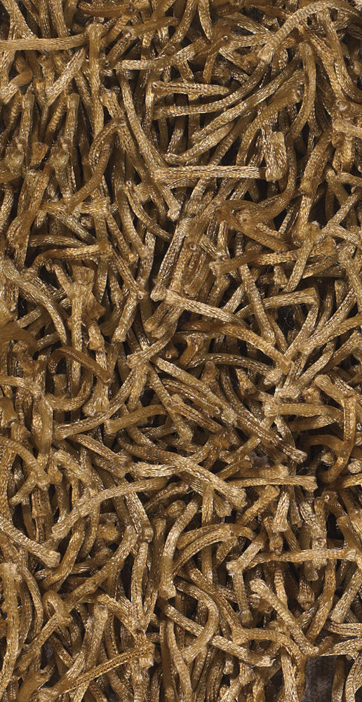 chandra zara zar 14531 brown rug