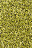 chandra zara zar 14536 green rug
