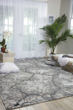 Nourison Divine DiV01 Charcoal Rug