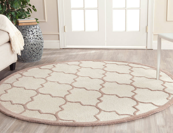 Safavieh Clearance Cambridge CAM134P Ivory Rug