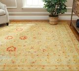 Safavieh Clearance Antiquities AT822B Brown Rug