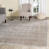 Safavieh Clearance Valencia VAL123C Grey Rug