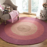 Safavieh Clearance Braided BRD165A Purple Rug