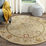 Safavieh Clearance Antiquities AT859B Taupe Rug