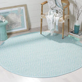 Safavieh Clearance Montauk MTK811H Turquoise Rug