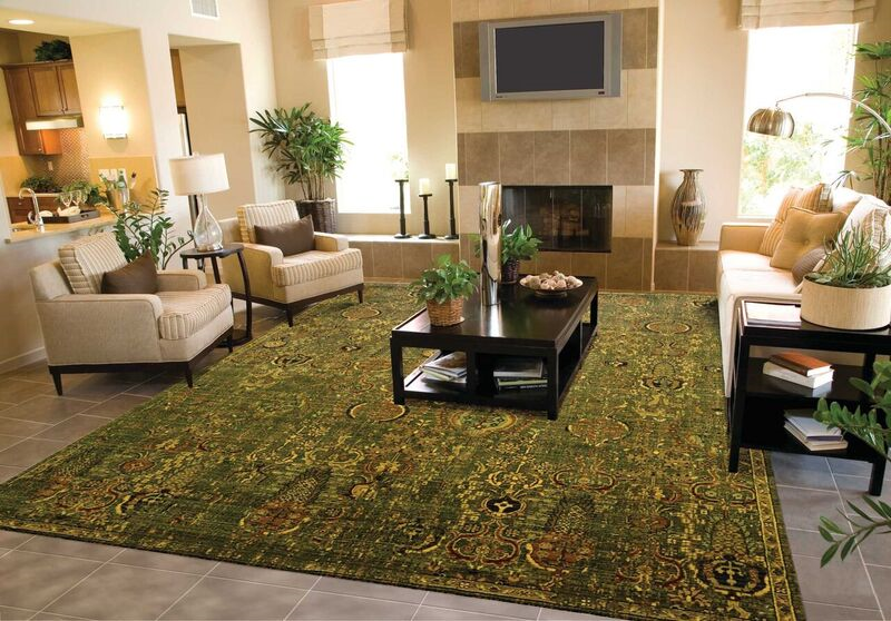 Nourison Clearance Timeless TML11 Golden Sage Rug