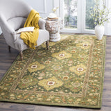 Safavieh Clearance Antiquities AT57C Olive Rug