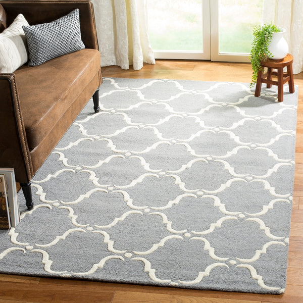 Safavieh Clearance Cambridge CAM703D Grey Rug
