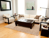 Anji Mountain Bamboo Rug, Co. Silky Shag AMB0654 Beige Rug