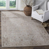 Safavieh Clearance Valencia VAL105F Grey Multi Rug