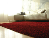 Anji Mountain Bamboo Rug, Co. Silky Shag AMB0652 Crimson Rug