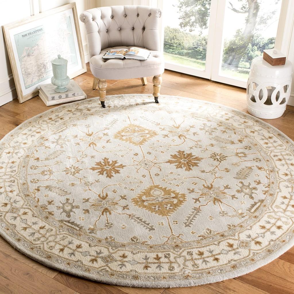Safavieh Clearance Royalty ROY870B Light Grey Rug