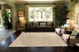 Nourison Clearance Silken Shadow SHA03 Rust Rug