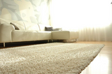 Anji Mountain Bamboo Rug, Co. Silky Shag AMB0651 Ivory Rug