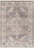 surya aida aad 2301 sterling grey rug