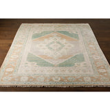 Surya Closeout Anadolu AAU-2303 Sage Rug