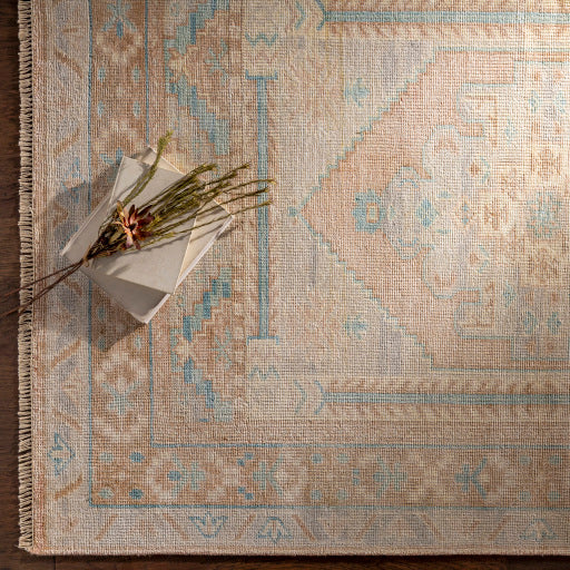 Surya Closeout Anadolu AAU-2306 Blush Rug