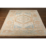 Surya Closeout Anadolu AAU-2309 Aqua Rug