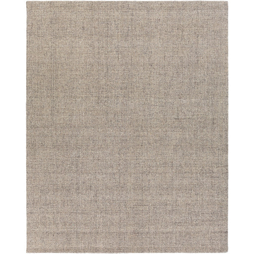 Surya Rug Co. Aiden AEN-1005 Light Grey Rug