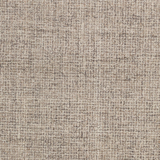 Surya Rug Co. Aiden AEN-1005 Light Grey Rug