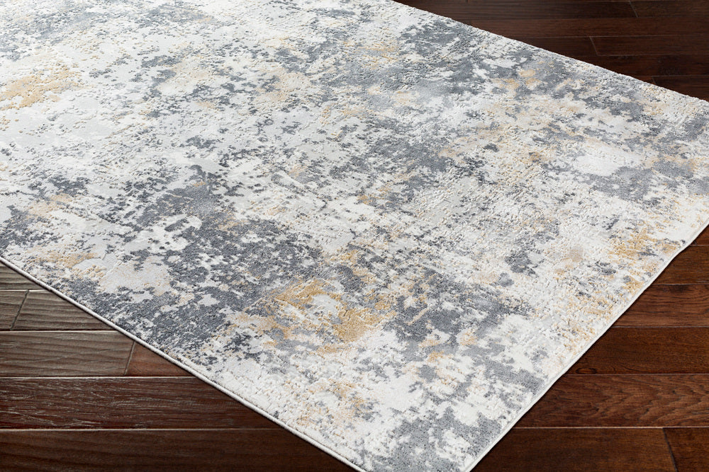 Surya Rug Co. Aisha Charcoal Rug | Aisha Rugs  | Rugs Done Right 