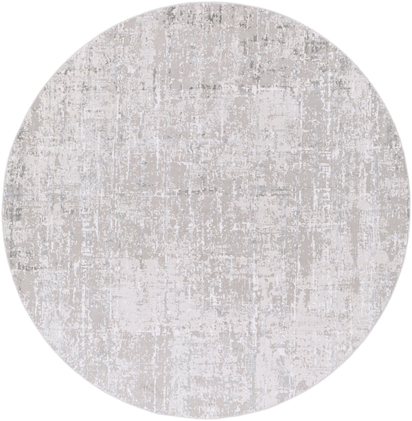 Oval Surya Rug Co. Aisha  Light Gray Rug | Geometrical Rugs | Rugs Done Right 