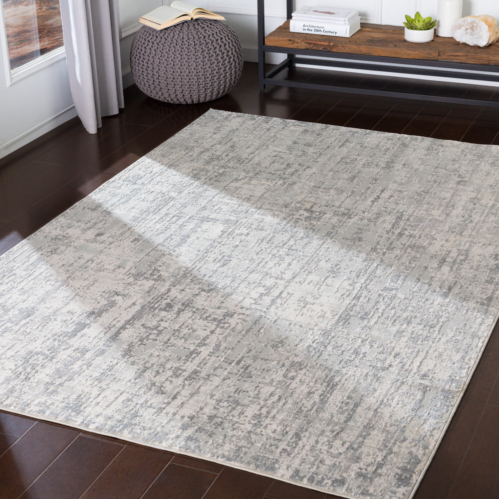 Contemporary Surya Rug Co. Aisha Light Gray Rug | Outdoor Rugs | Rugs Done Right 