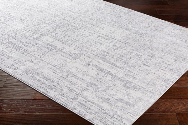 Rectangular Surya Rug Co. Aisha Light Gray Rug | Light Gray Rugs | Rugs Done Right 
