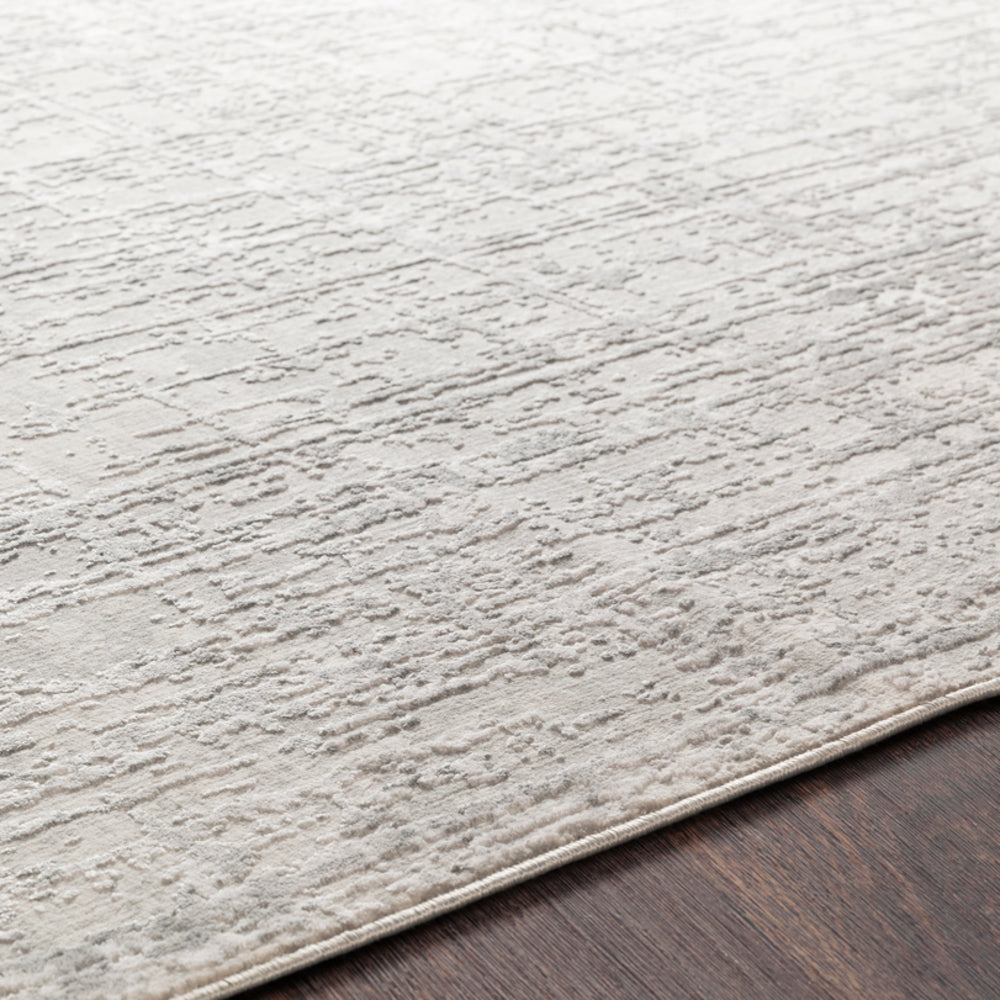 Surya Rug Co. Aisha Light Gray Rug | Gray Rugs | Rugs Done Right 