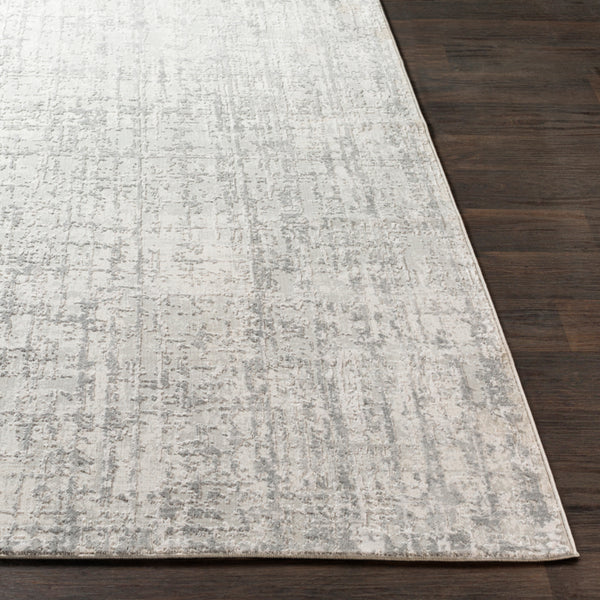 Rectangular Surya Rug Co. Aisha Light Gray Rug | Indoor Rugs | Rugs Done Right 