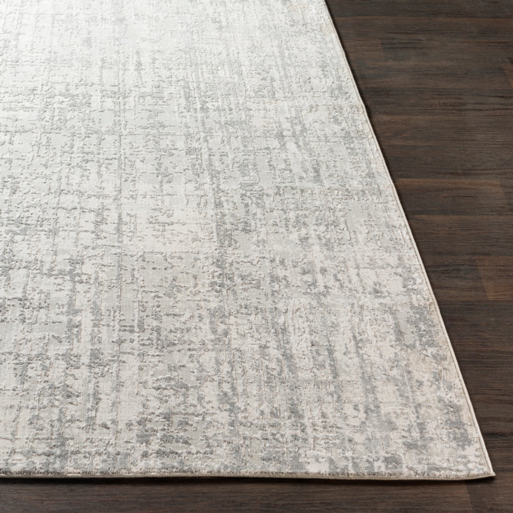 Rectangular Surya Rug Co. Aisha Light Gray Rug | Indoor Rugs | Rugs Done Right 