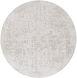 Surya Closeout Aisha AIS-2306 Light Gray Rug