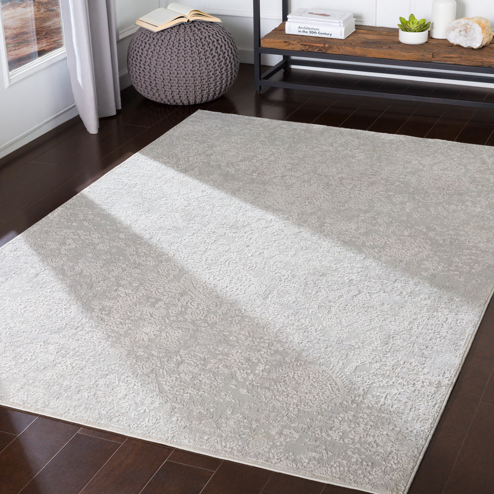 Surya Closeout Aisha AIS-2306 Light Gray Rug