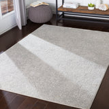 Surya Closeout Aisha AIS-2306 Light Gray Rug