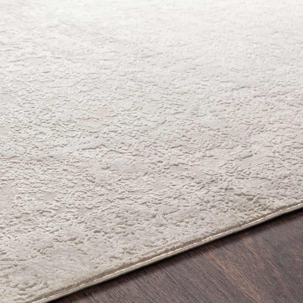 Surya Closeout Aisha AIS-2306 Light Gray Rug