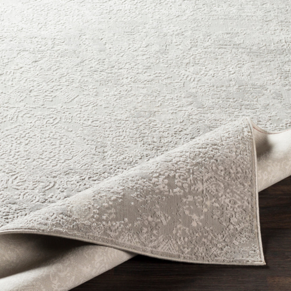 Surya Closeout Aisha AIS-2306 Light Gray Rug