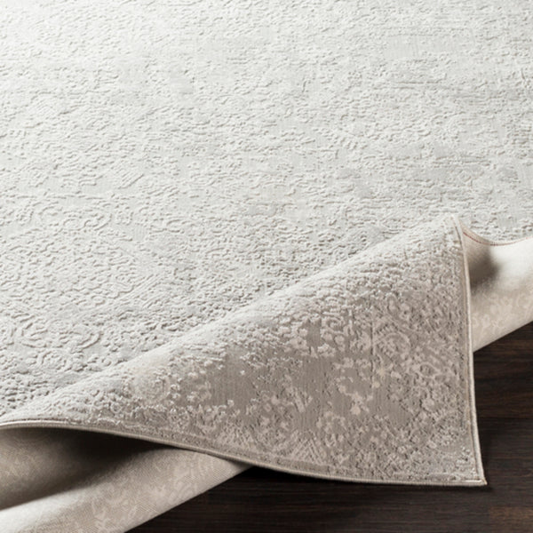Surya Closeout Aisha AIS-2306 Light Gray Rug