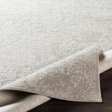 Surya Closeout Aisha AIS-2306 Light Gray Rug