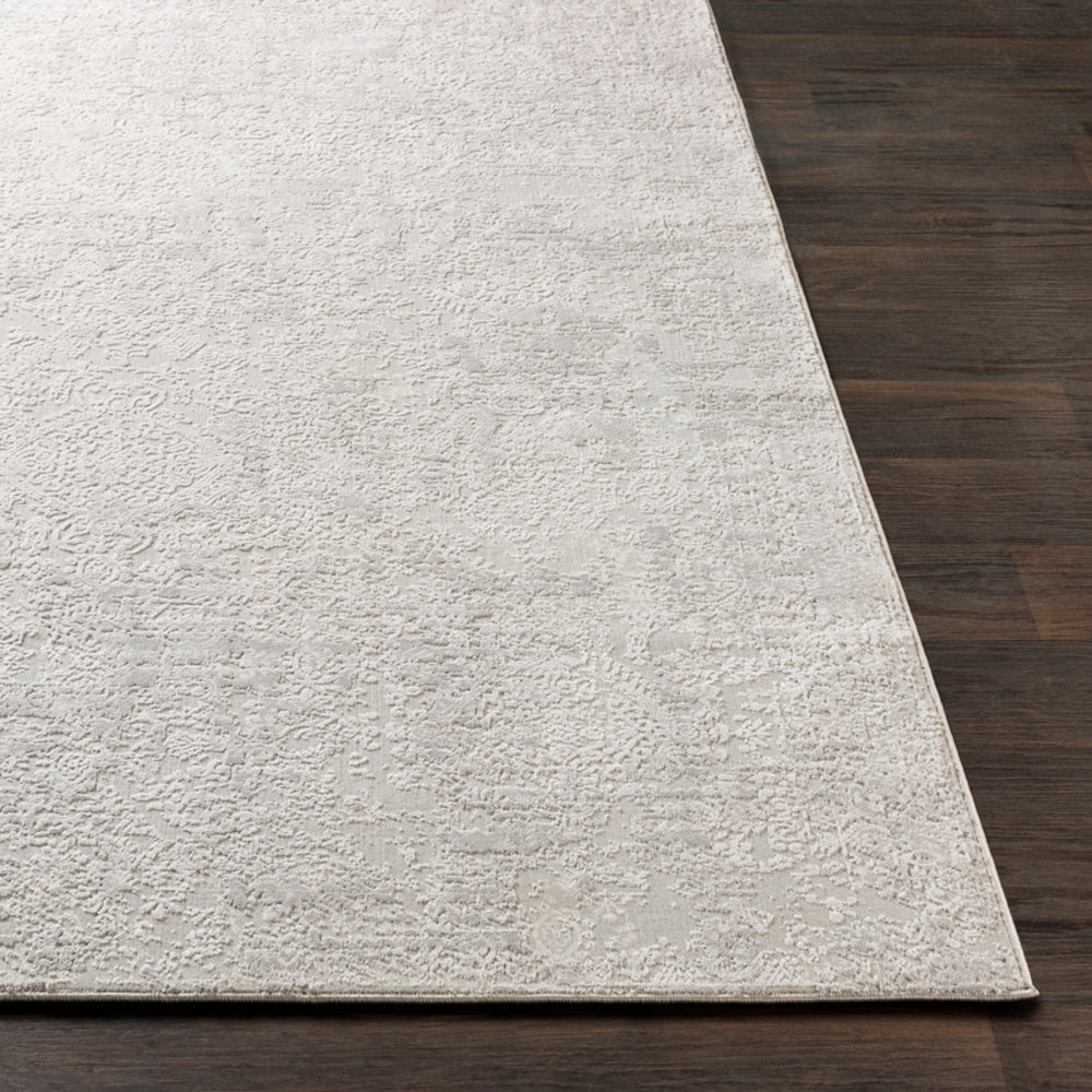 Surya Closeout Aisha AIS-2306 Light Gray Rug