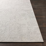 Surya Closeout Aisha AIS-2306 Light Gray Rug
